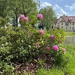 Domaene Kermen アパート *