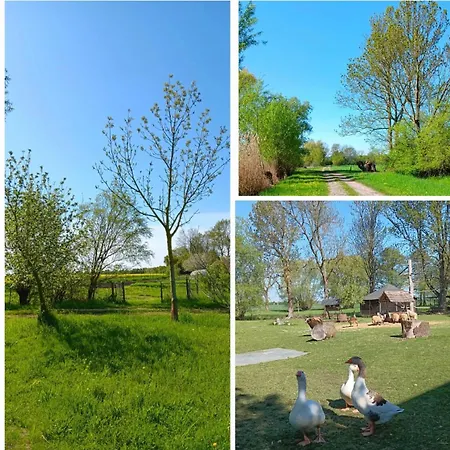 Domaene Kermen Zerbst