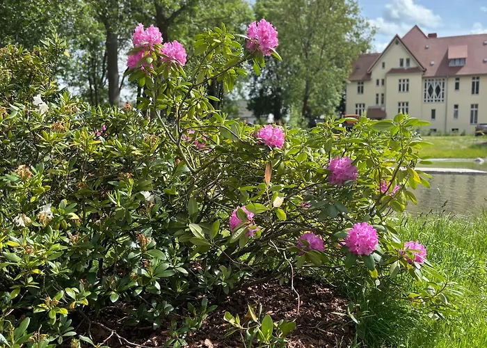 Domaene Kermen Lejlighed *