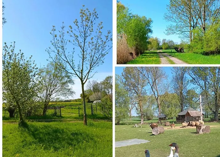 Domaene Kermen Zerbst